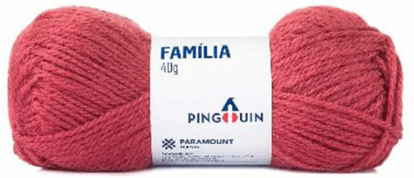 KIT COM 10 UNIDADES (COR ÚNICA) - FIO FAMILIA 40G