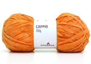 FIO CAPPIO 100G PINGOUIN